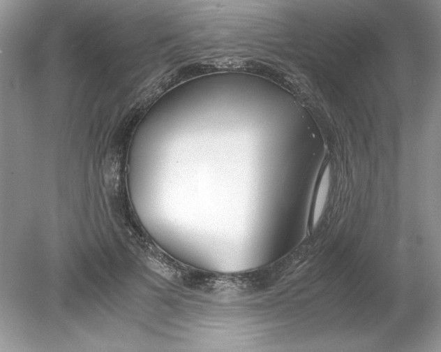 X0000078880697200612042024