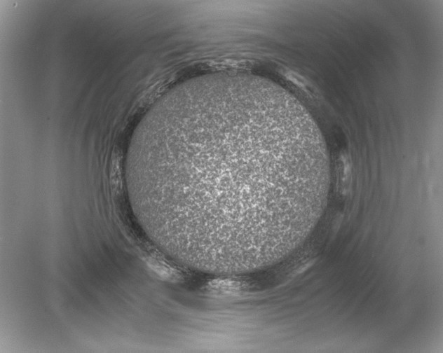 X0000078880699200612042024