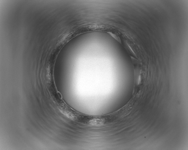 X0000078880700200612042024