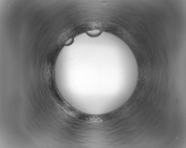 X0000078880702200612042024