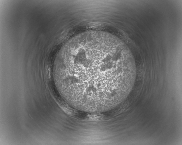 X0000078880703200612042024