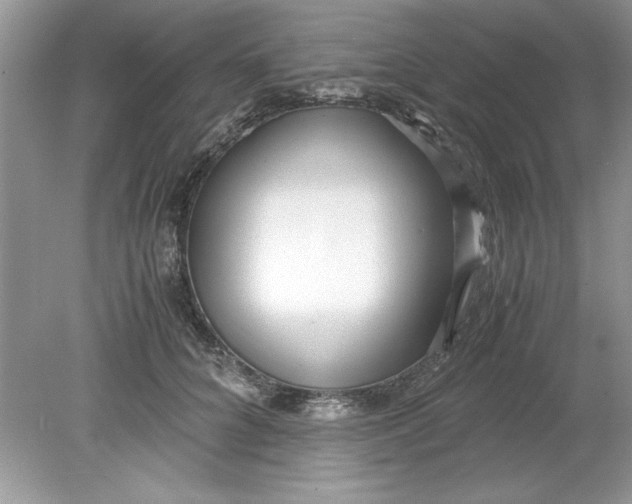 X0000078880704200612042024