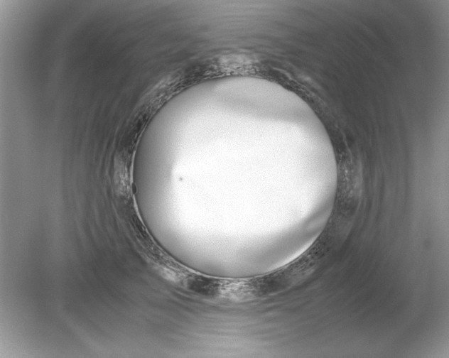 X0000078880705200612042024