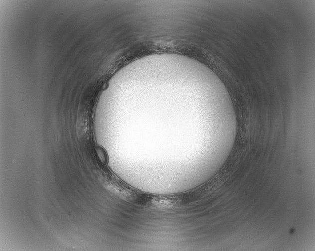 X0000078880706200612042024