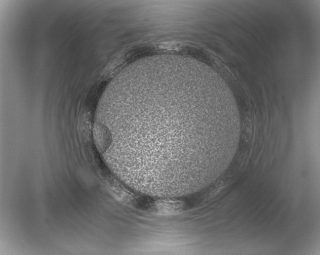 X0000078880707200612042024