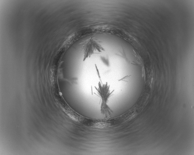 X0000078880708200612042024