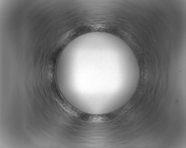 X0000078880710200612042024