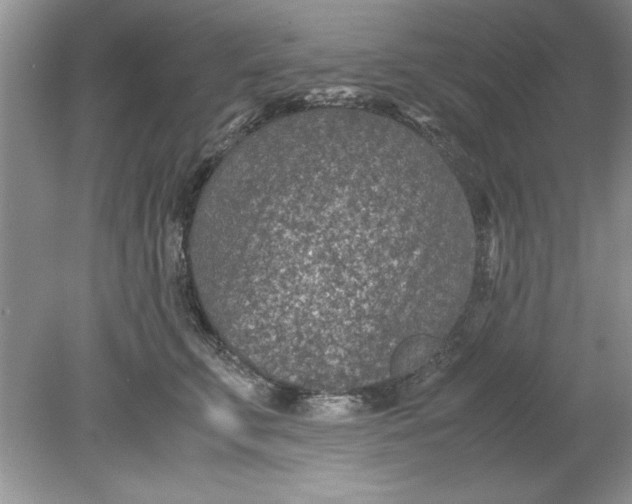 X0000078880711200612042024