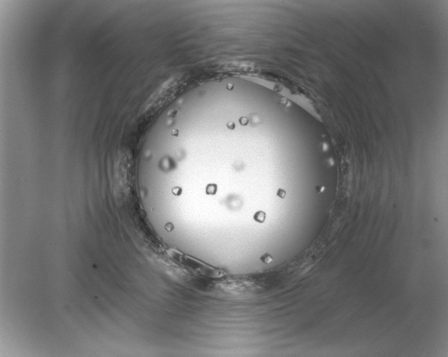 X0000078880712200612042024