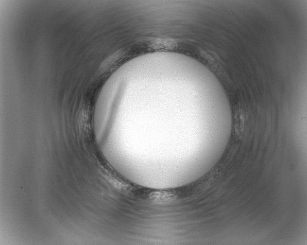 X0000078880714200612042024