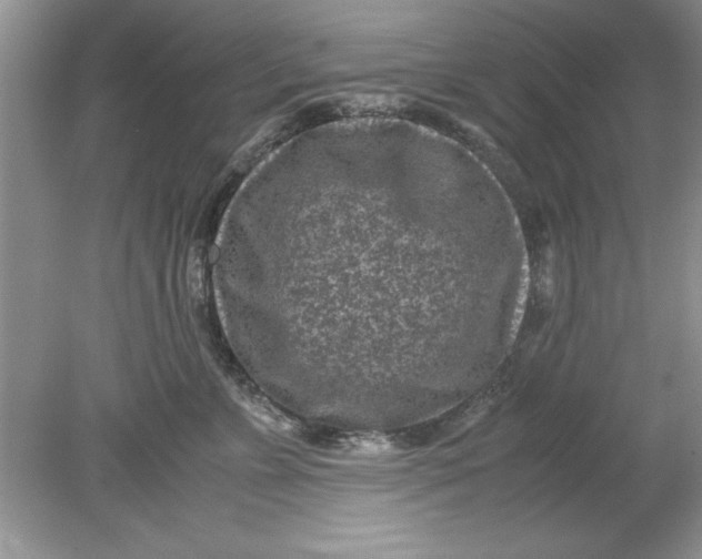 X0000078880715200612042024