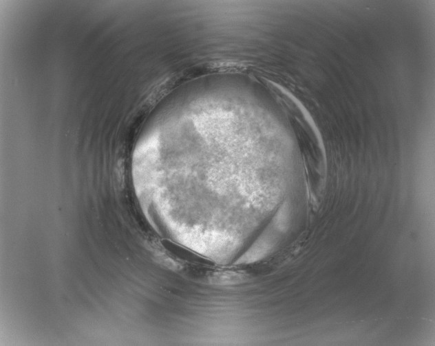 X0000078880716200612042024