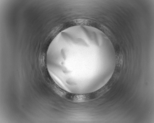 X0000078880717200612042024