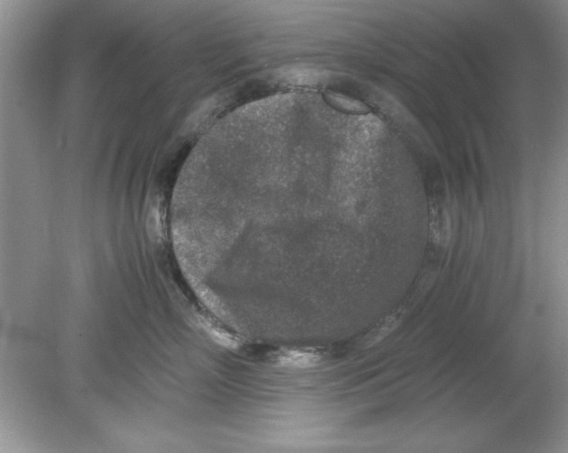 X0000078880718200612042024