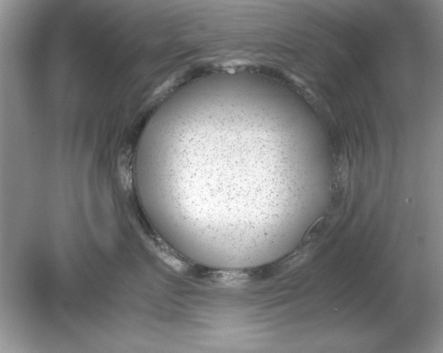 X0000078880719200612042024