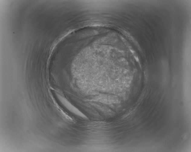 X0000078880721200612042023