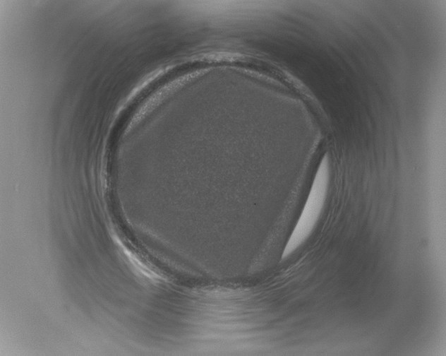 X0000078880722200612042023