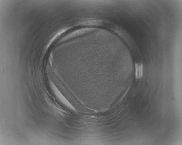 X0000078880723200612042023