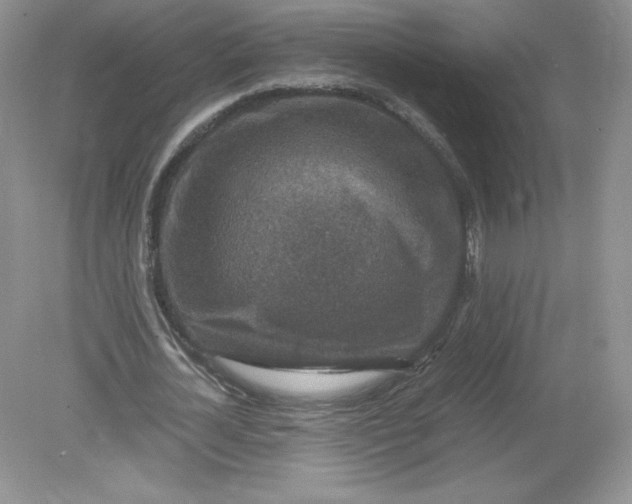 X0000078880724200612042023