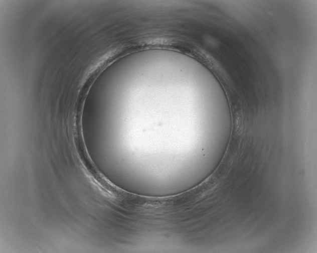 X0000078880725200612042023