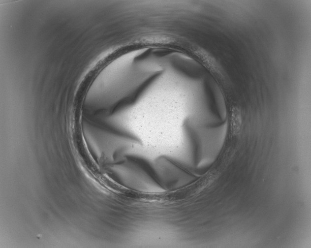 X0000078880726200612042023