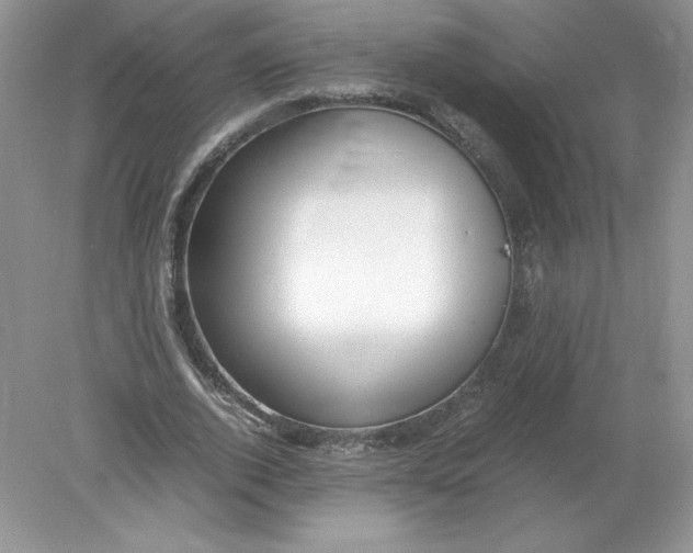 X0000078880728200612042023