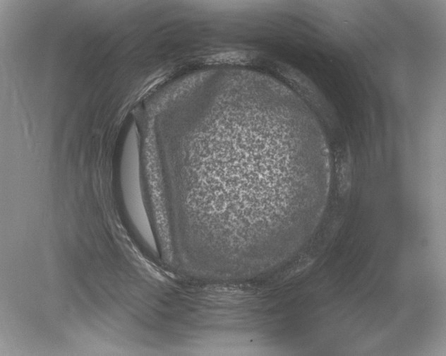 X0000078880729200612042023