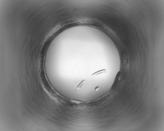 X0000078880730200612042023