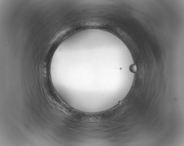 X0000078880731200612042023