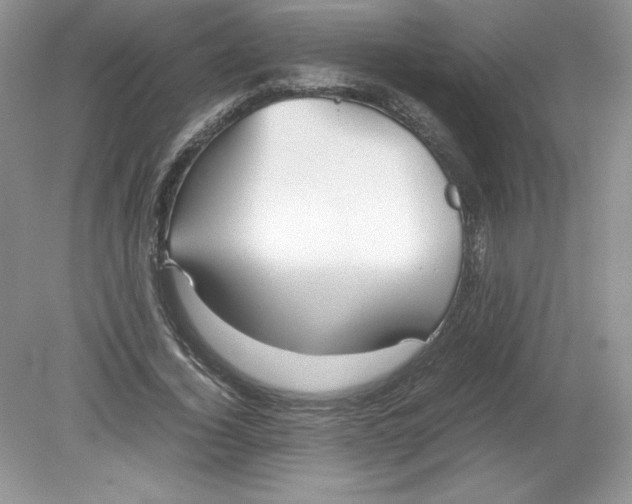 X0000078880732200612042023