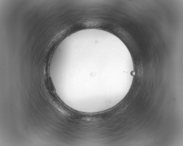 X0000078880733200612042023