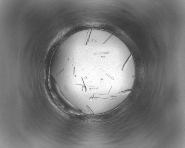 X0000078880734200612042023