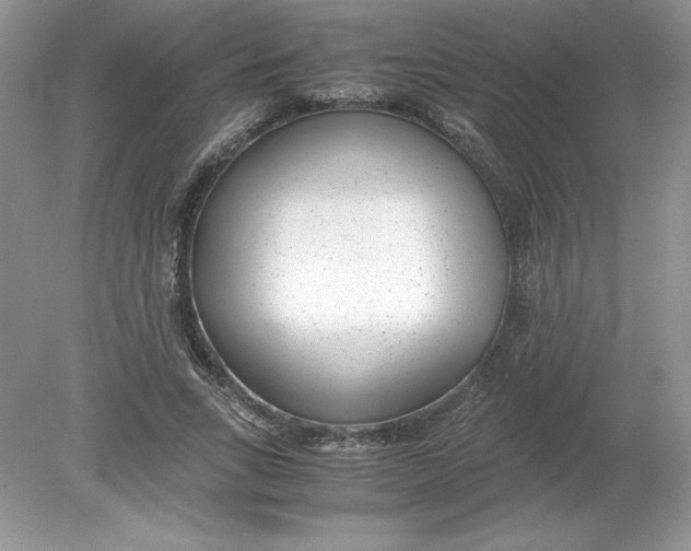 X0000078880735200612042023