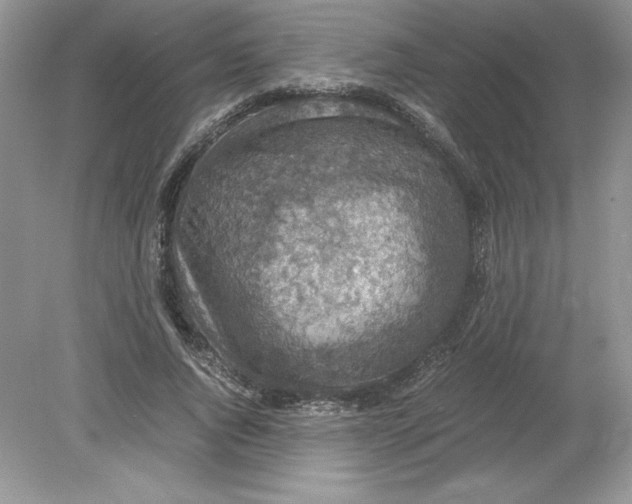 X0000078880736200612042023