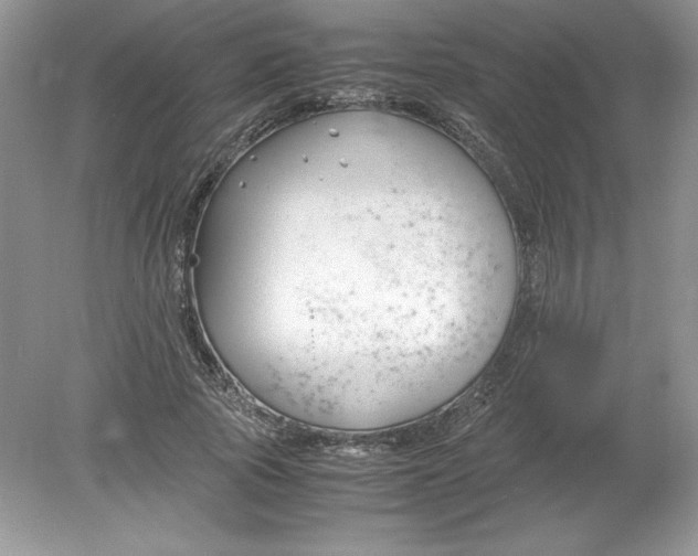 X0000078880737200612042023