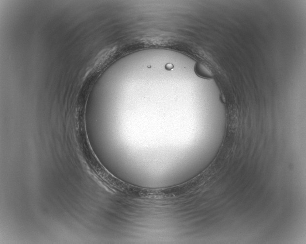 X0000078880738200612042023