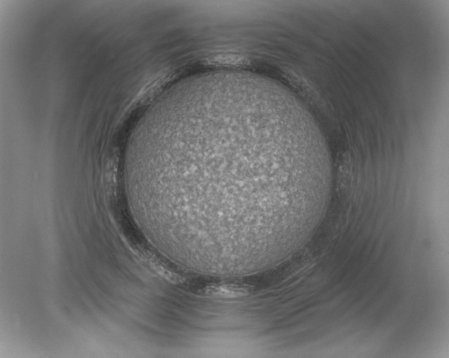 X0000078880739200612042023