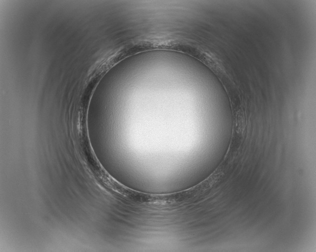 X0000078880740200612042023