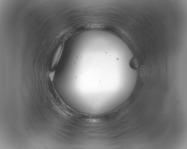 X0000078880741200612042023