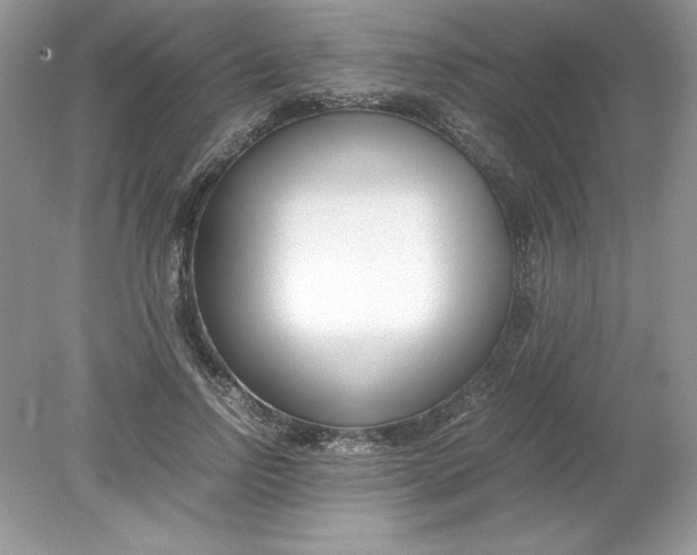 X0000078880742200612042024