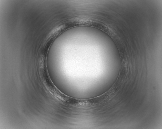 X0000078880744200612042024