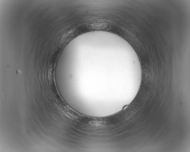 X0000078880745200612042024