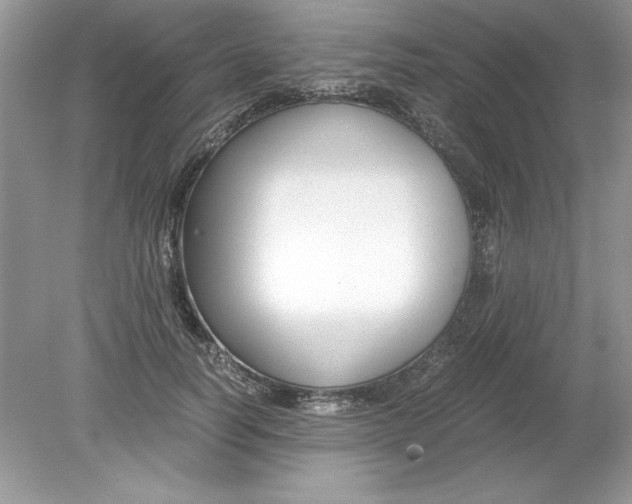 X0000078880746200612042024