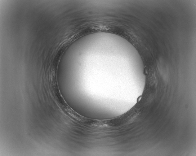 X0000078880747200612042024