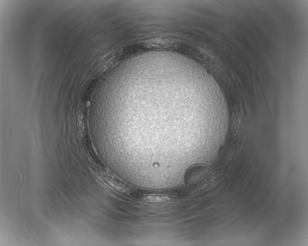 X0000078880749200612042024