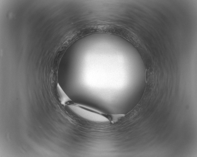 X0000078880750200612042024