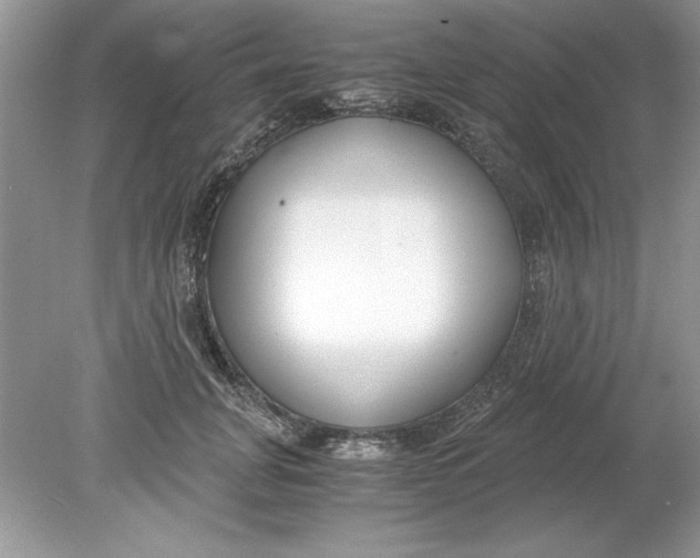 X0000078880751200612042024