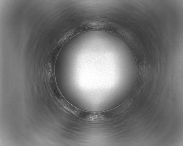 X0000078880752200612042024