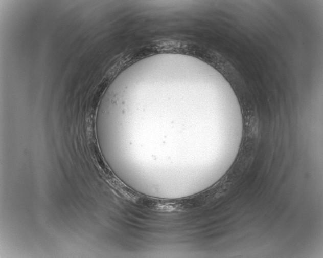 X0000078880753200612042024