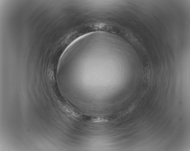 X0000078880754200612042024